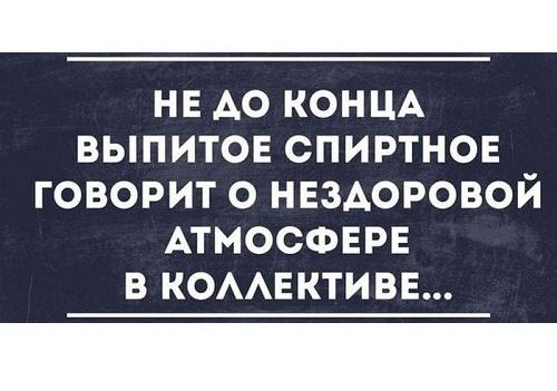 Подробнее о статье Свежие прикольные фразы