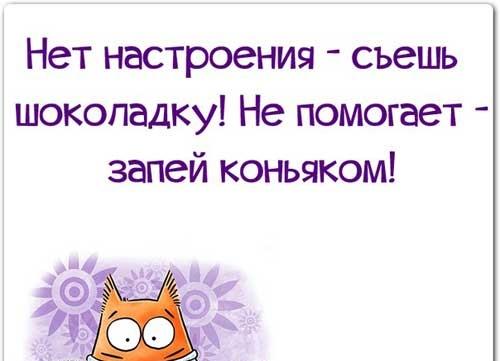 Подробнее о статье Остроумные бесплатные афоризмы