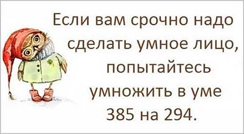 Подробнее о статье Прикольные бесплатные афоризмы