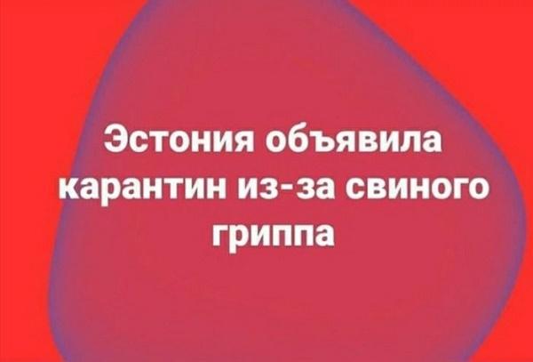 Подробнее о статье Смешные до слез картинки