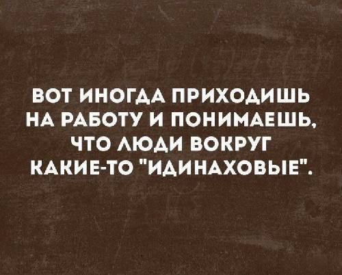 Подробнее о статье Смешные афоризмы на все случаи жизни