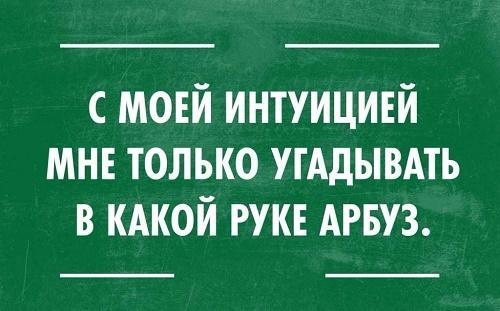 Подробнее о статье Смешные афоризмы на все случаи