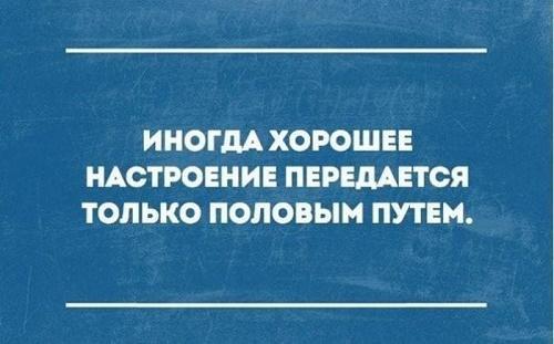 Подробнее о статье Смешные до слез афоризмы