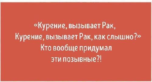 Подробнее о статье Ржачные афоризмы и цитаты