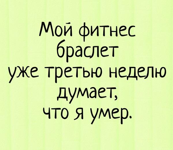 Подробнее о статье Смешные картинки про карантин