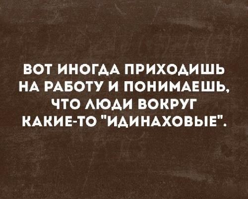 Подробнее о статье Свежие самые смешные афоризмы и фразы