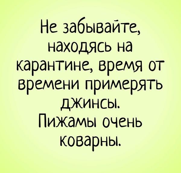 Подробнее о статье Картинки про карантин и самоизоляцию