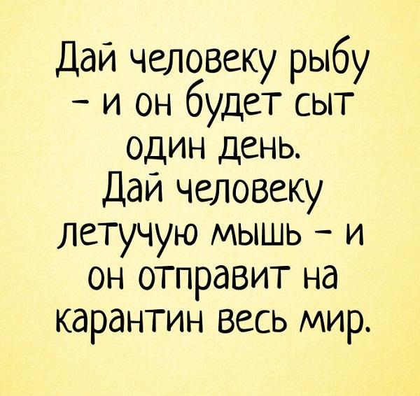 самая смешная картинка про карантин и самоизоляцию