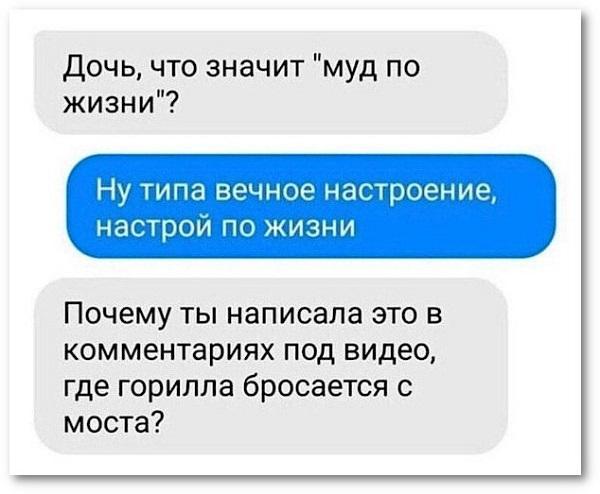 Подробнее о статье Самые смешные смс-ки