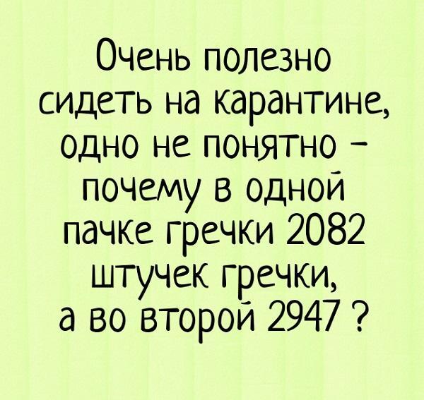 смешные до слез картинки про карантин и самоизоляцию