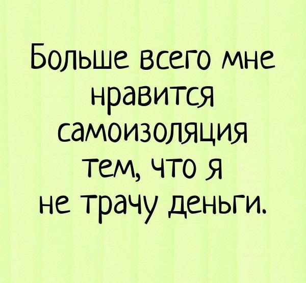 смешные до слез картинки про карантин и самоизоляцию