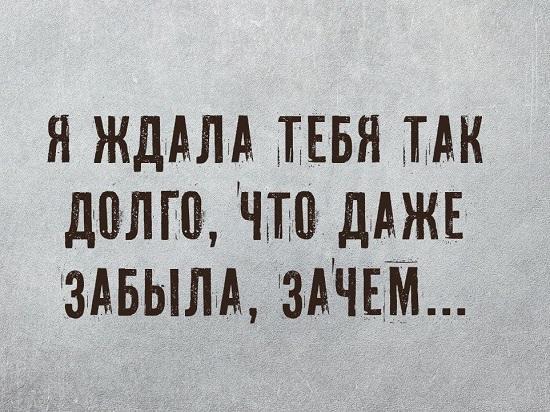 смешные до слез пословицы и поговорки