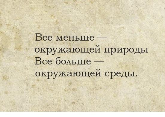 Подробнее о статье Смешные пословицы и поговорки разные