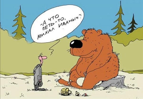 анекдоты про медведя