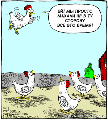 смешная картинка про курицу