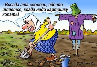 карикатура про баб