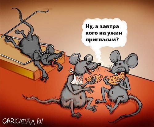 карикатура про еду и питание