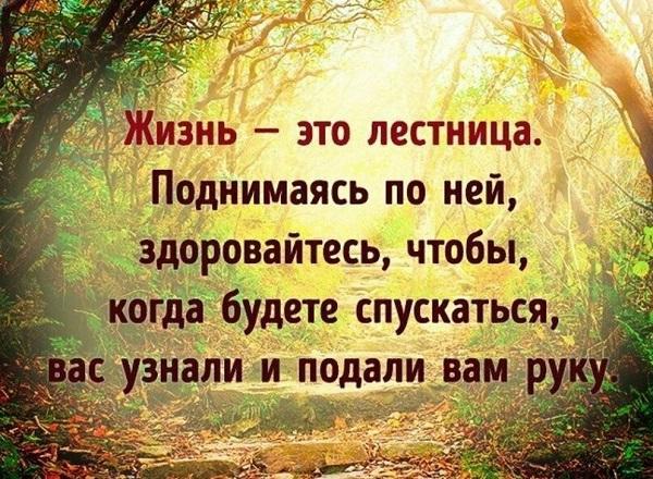 Подробнее о статье Мудрые цитаты о жизни со смыслом