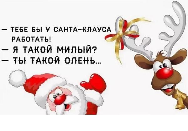 новогодние самые смешные статусы