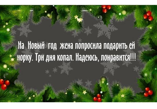 Подробнее о статье Новогодние веселые статусы