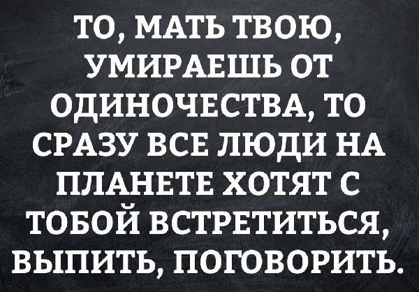 Подробнее о статье Прикольные цитаты о жизни