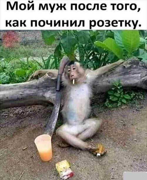 ржачная картинка из сети