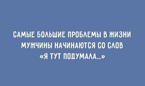 Подробнее о статье Шуточки картинки