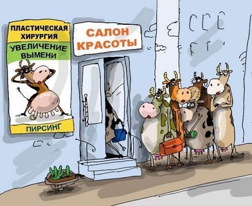 смешная карикатура про девушек и женщин