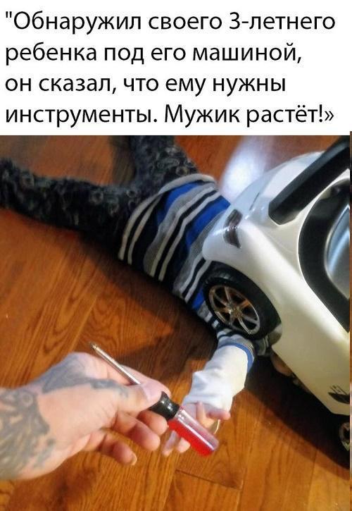 смешная картиночка