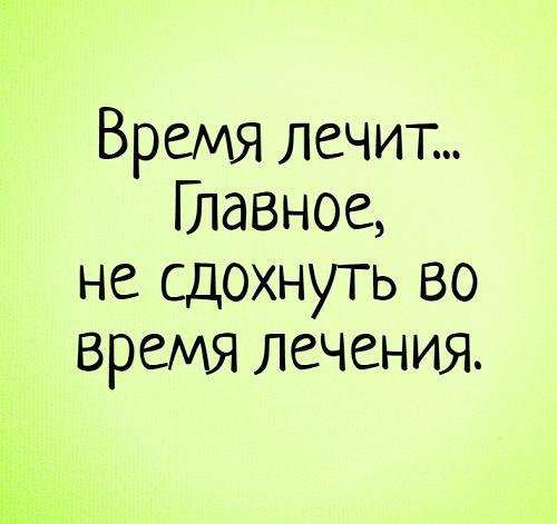 Подробнее о статье Смешные статусы на картинках