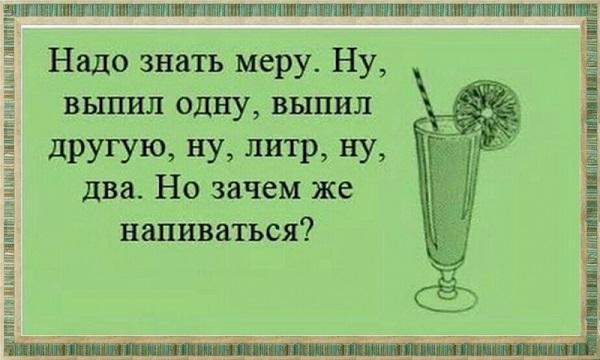 Подробнее о статье Ржачные статусы про пьянку и похмелье