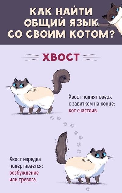 как понять кота