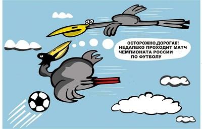 карикатура картинка про птиц