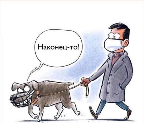 карикатура про коронавирус и маски