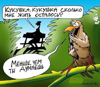 карикатура про птиц