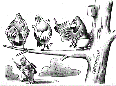 карикатура про птиц