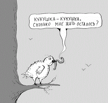 карикатура про птиц