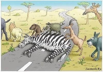 карикатура про зверей и животных