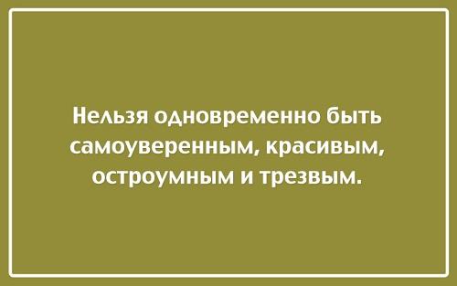 Подробнее о статье Мудрые и смешные цитаты (картинки)