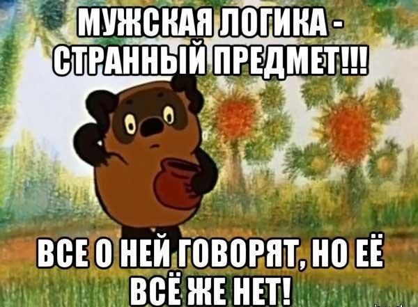 прикольная мужская логика