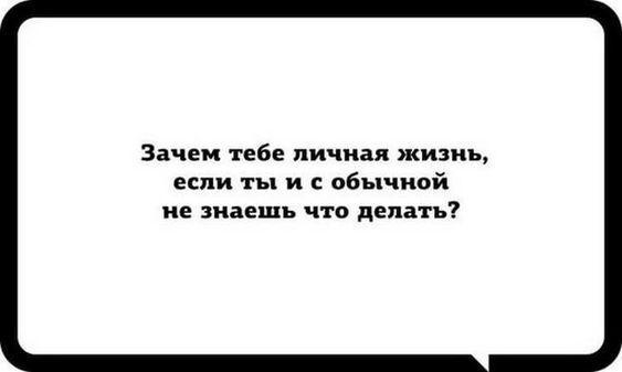 Подробнее о статье Прикольные до слез короткие статусы