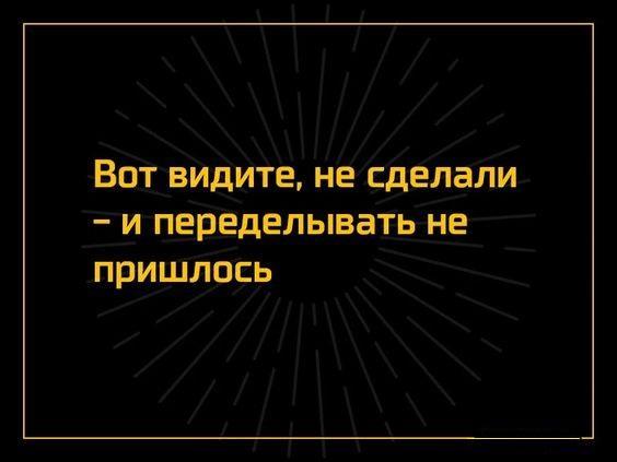 Подробнее о статье Прикольные статусы для Ватсапа