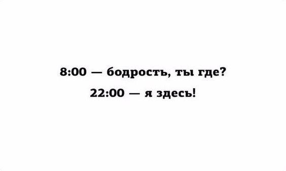 Подробнее о статье Скачать бесплатно смешные статусы