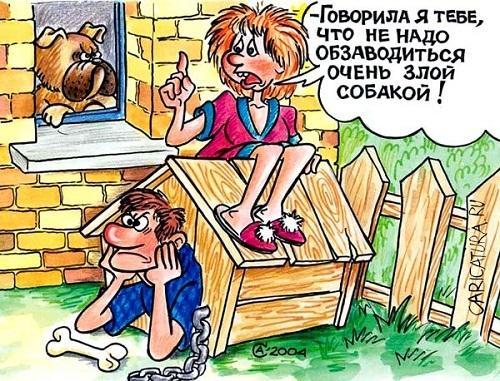 смешная карикатура про собак