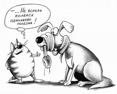 смешная карикатура про собак