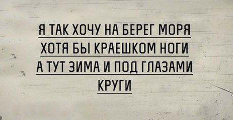 Подробнее о статье Смешные статусы для Инстаграма