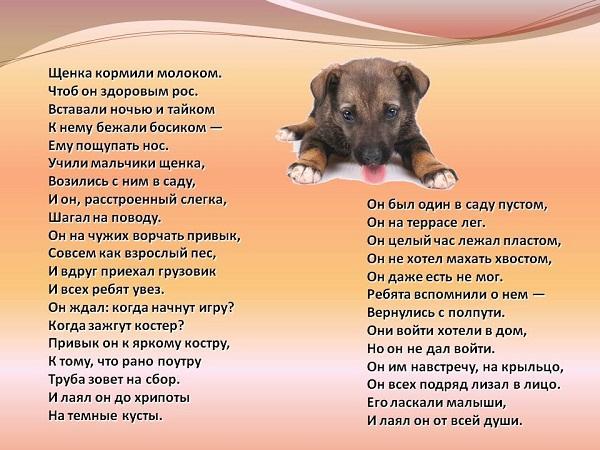 стихи про собак и щенков
