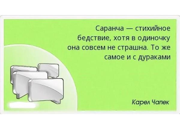 Все разнообразие вся прелесть вся красота жизни слагается из тени и света схема предложения