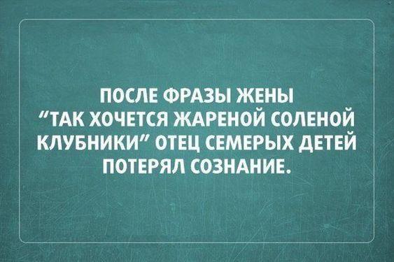 Подробнее о статье Прикольные до слез цитаты