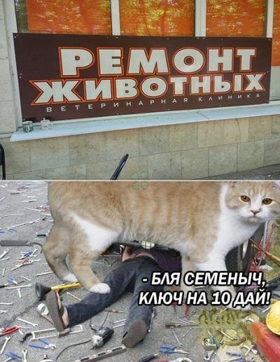 смешные до слез мемы